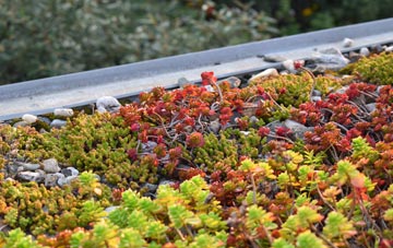 the cost of Stokenham green roof installation