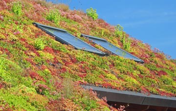 Stokenham living roof systems